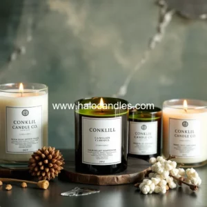 Read more about the article Conklin candle co.: elevate your space with exquisite luxury candles and unique gifts!


 your task:

1.